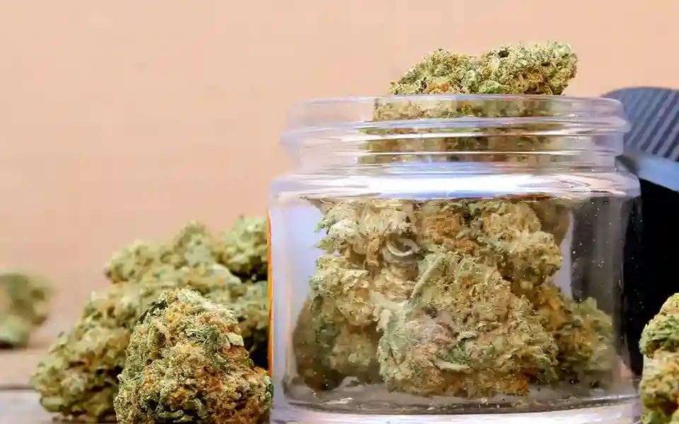 Green Rock Cannabis Flower